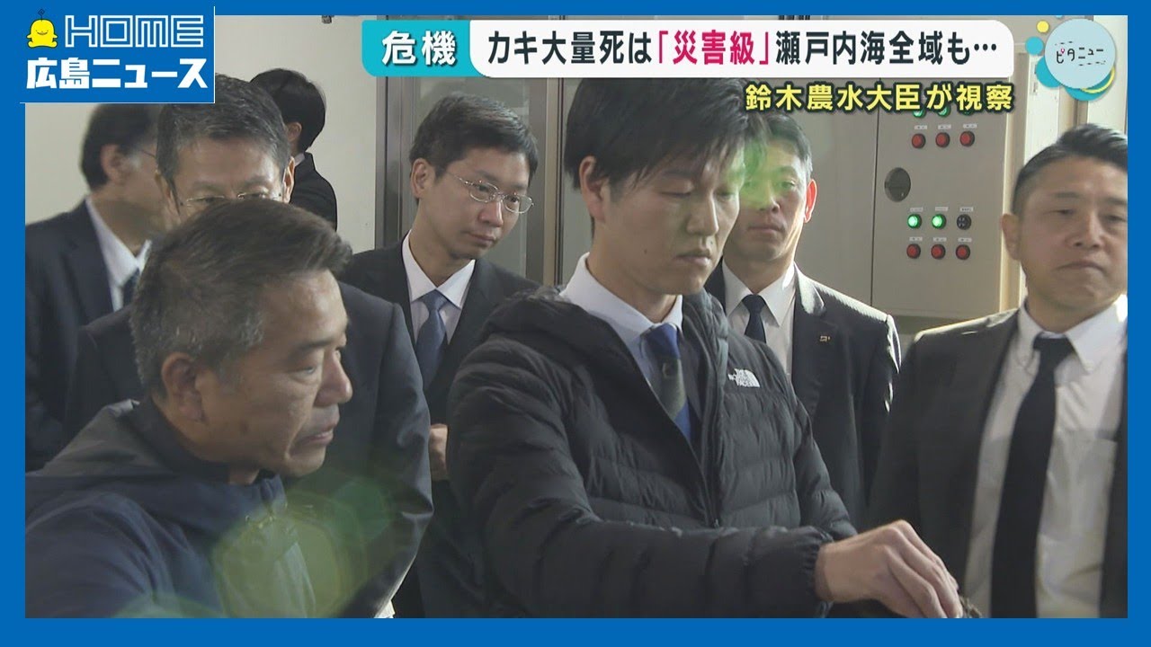 【カキ大量死】「災害級」被害 瀬戸内海全域も…鈴木農水相視察｜HOME広島ニュース
