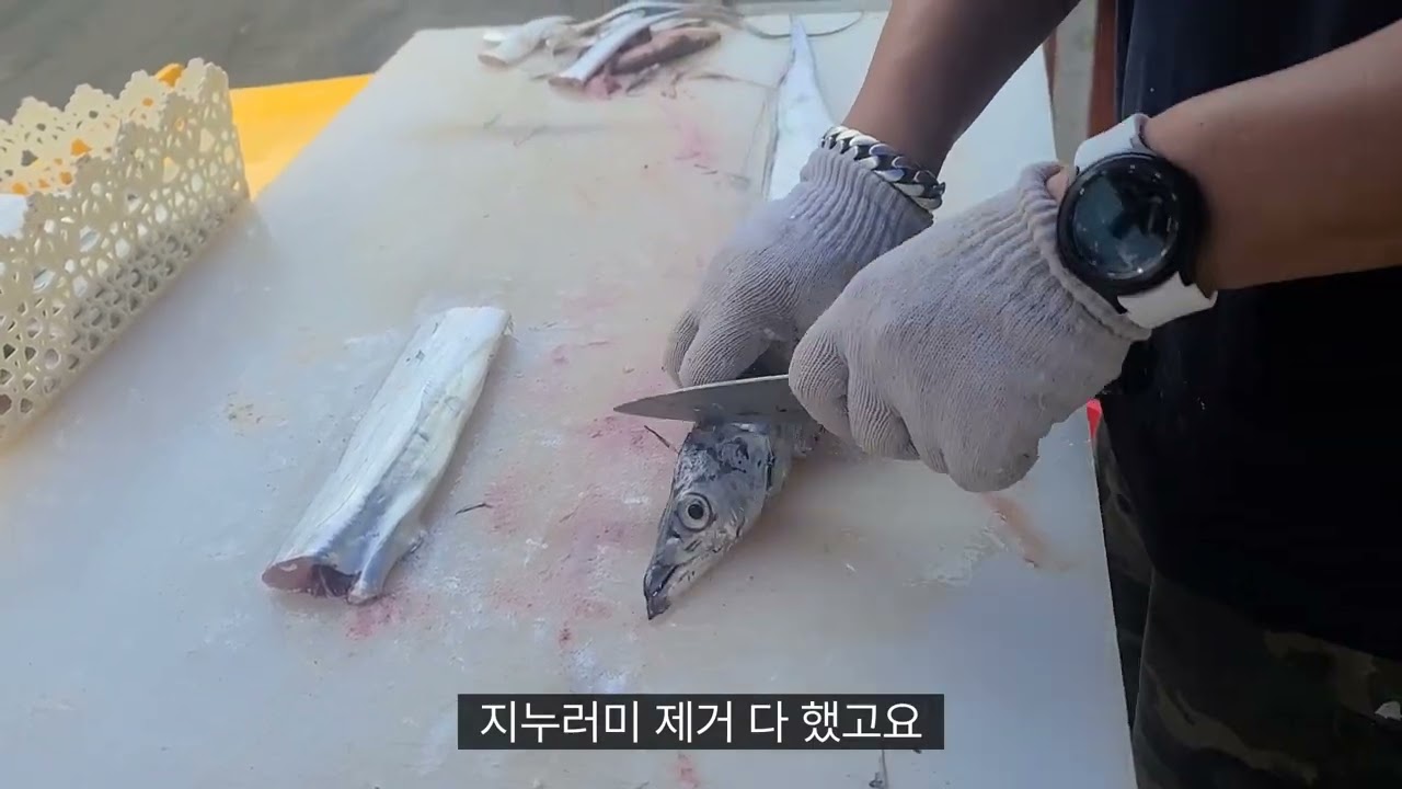 2025년 8월 제주갈치 조황 제주갈치#갈치낚시 #갈치조황 #제주도 