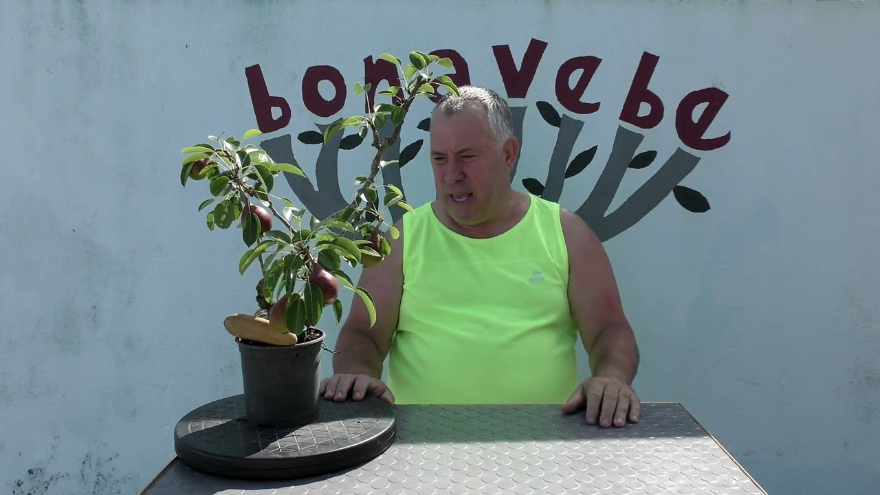 @bonavebedesdeVigoGalicia. En nada cosecha.