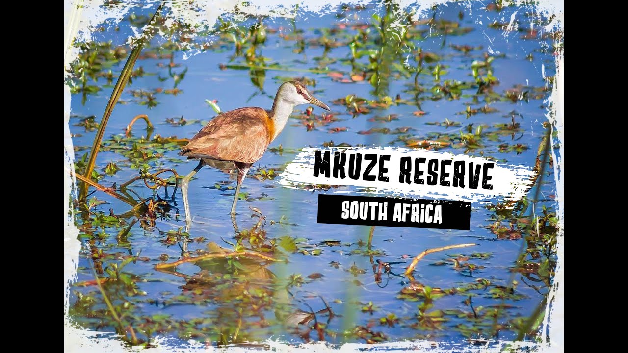 MKUZE GAME RESERVE