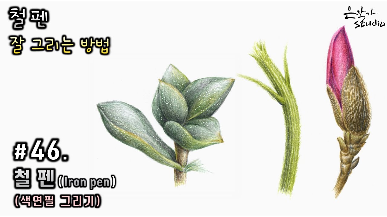 [Цветочная живопись / Ботаническое искусство] № 46. Как хорошо рисовать железной ручкой !!