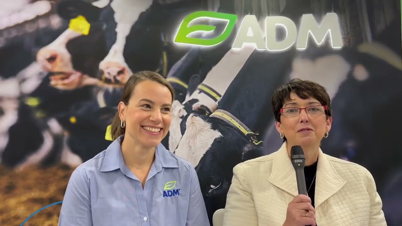 Supporting resilient cows: ADM’s approach is boosting transition cow performance