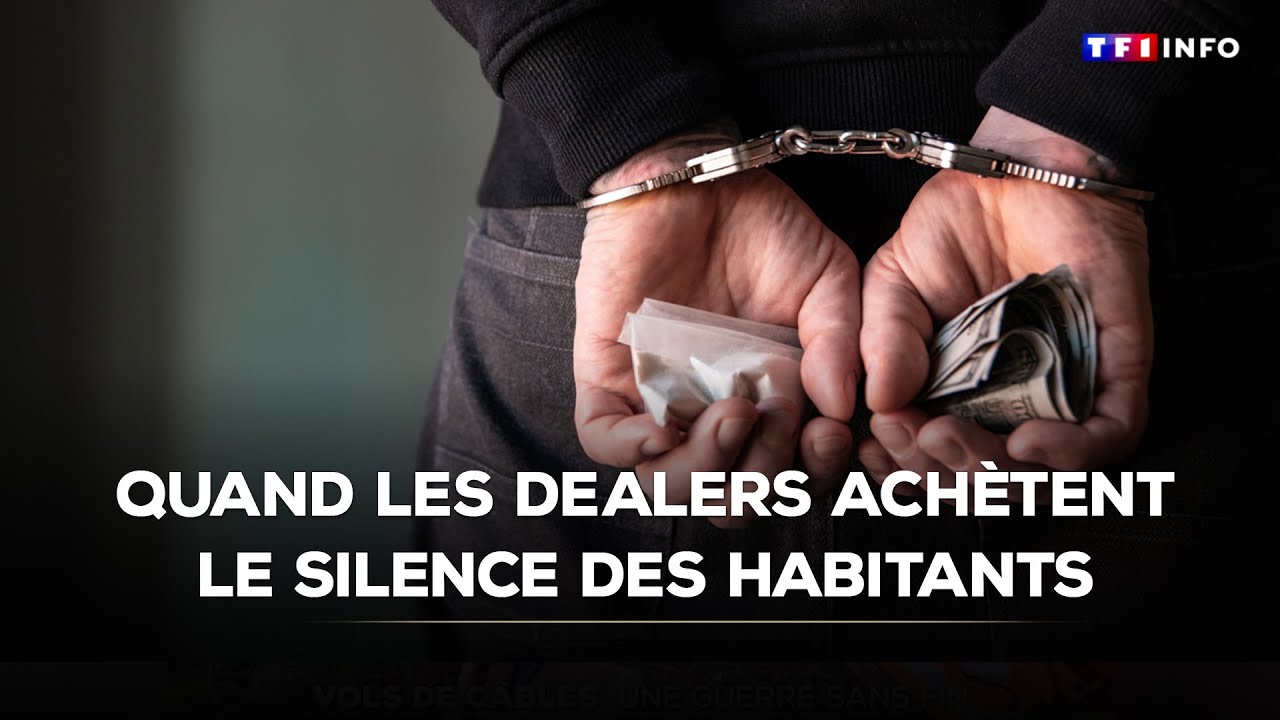 Enquête - Quand les dealers achètent le silence des habitants｜TF1 INFO