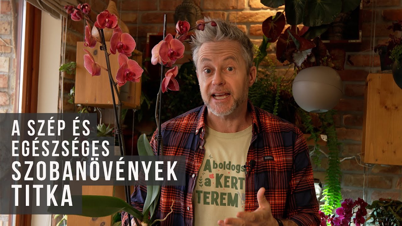 Zöld otthon télen: szobanövények gondozása | kert TV