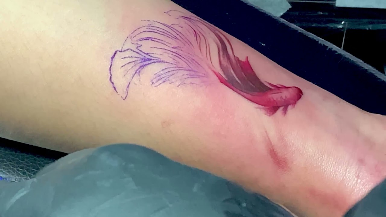 Tattoo Process (Betta fish)