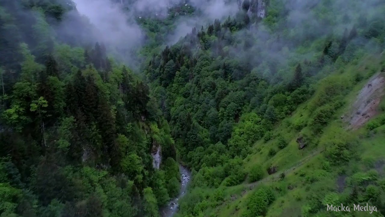 Mulagada Cennetten Vadimiz..