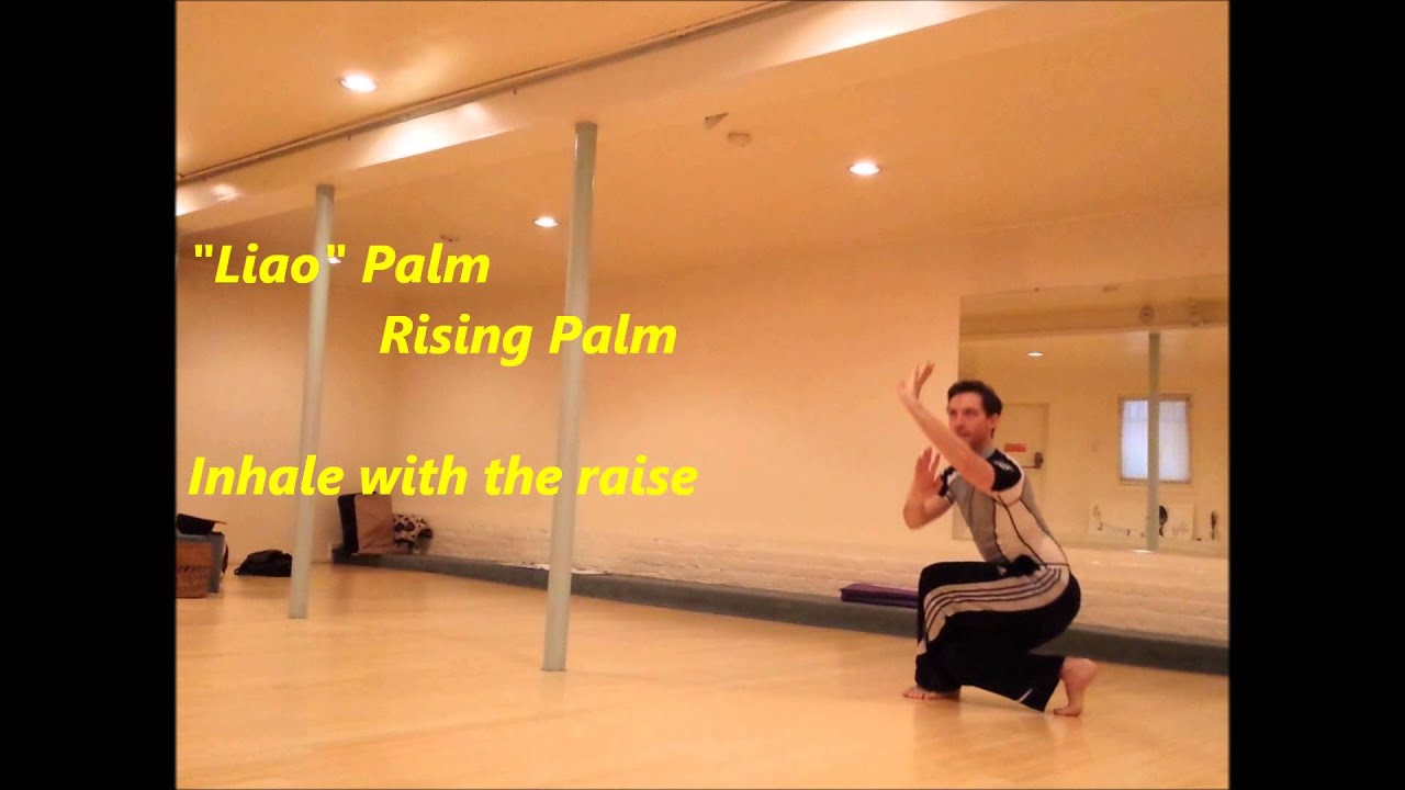 BaGua Qigong Exercise with 8 