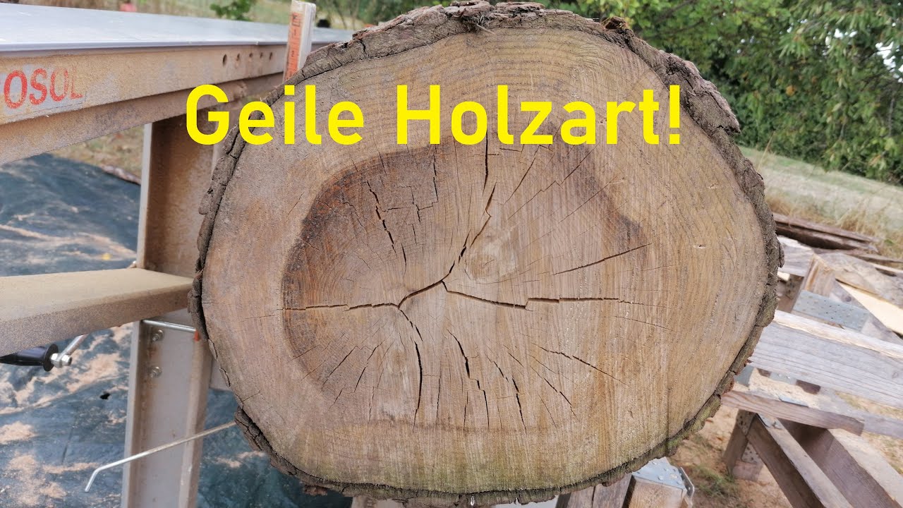Achtet bitte DADRAUF wenn ihr Stammholz VERKAUFT oder KAUFT – wir schneiden übrigens SCHEINZYPRESSE!