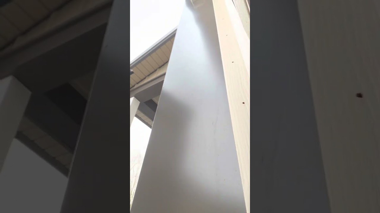 Garage Door Mice Protection
