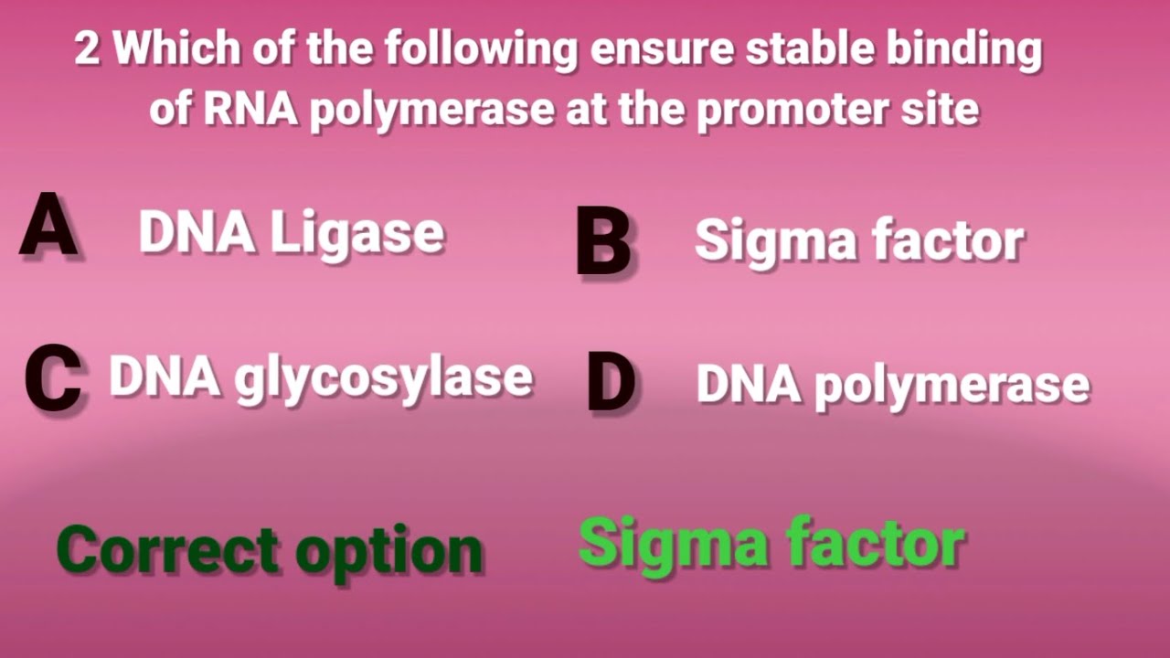 Mcqs on Transcription|| protein synthesis|| Central dogma|| QUIZ CENTRE|| PART NO 01