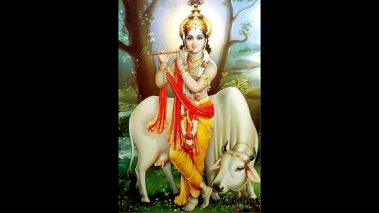 30  jan  2026 || श्रीमद् भागवत कथा।। 