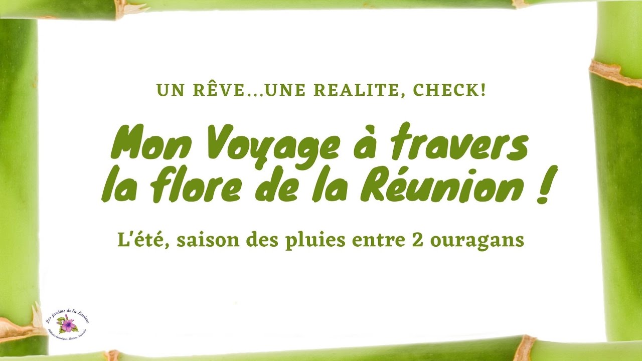 Mon Voyage à travers la flore de l'ïle de la Réunion!