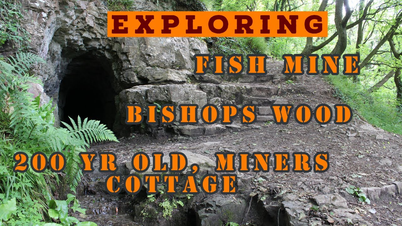 Fish mine workings-deep explore,  Bishops wood, and Prestatyn hillside