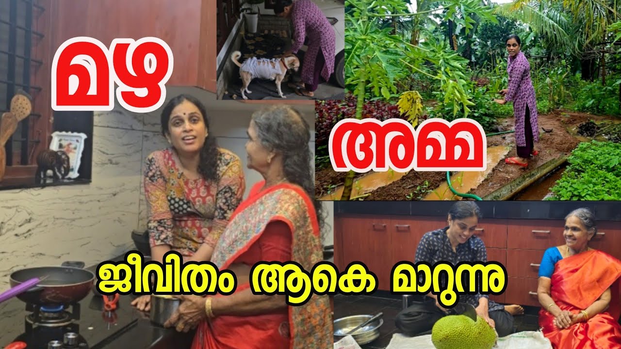 അമ്മാ,?? ജീവിതം ആകെ മാറുന്നു 🥺☺️ | Evening Snacks - ചക്ക വറുത്തത്