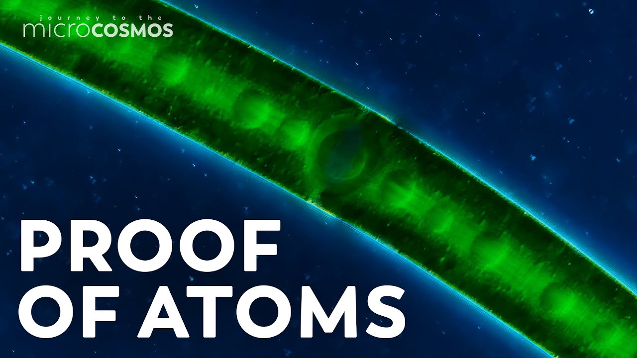 How Brownian Motion Helped Prove the Existence of Atoms