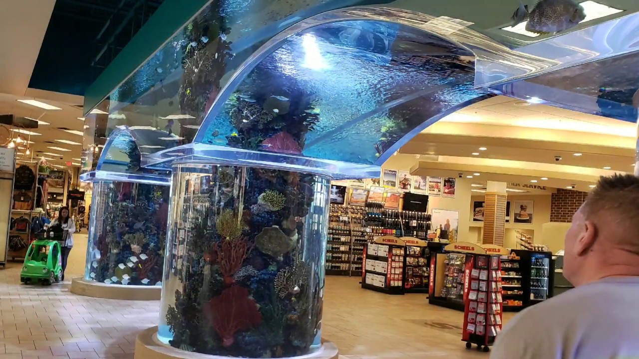 S C H E E L S SPORTING GOODS STORE - DANG, THAT'S A BIG STORE! Hunting Fishing Sports they have it!