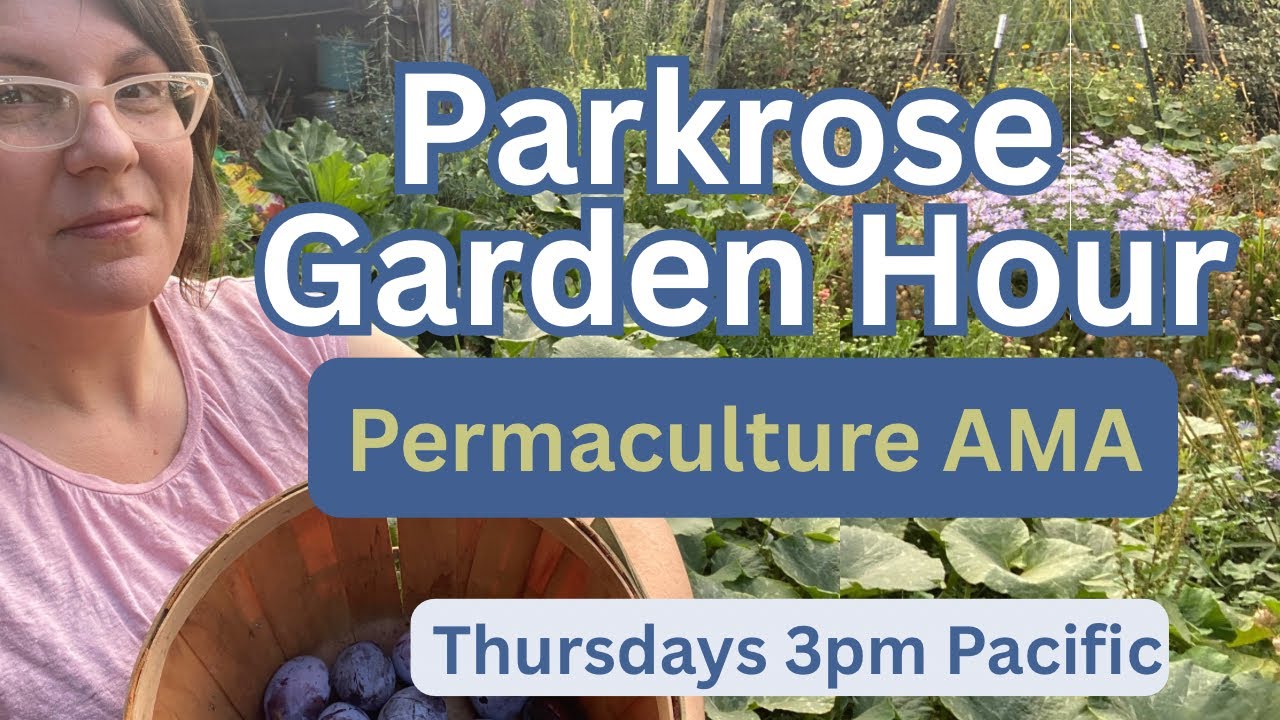 Permaculture AMA! Bring all your questions!