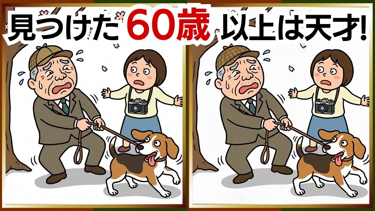 【脳活間違い探し】脳トレで楽しく認知症予防！気分もスッキリ｜60代・70代向け