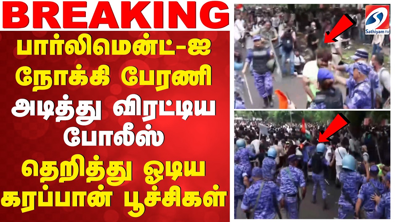பார்லிமென்ட்-ஐ நோக்கி பேரணி - அடித்து விரட்டிய போலீஸ் - தெறித்து ஓடிய கரப்பான் பூச்சிகள்