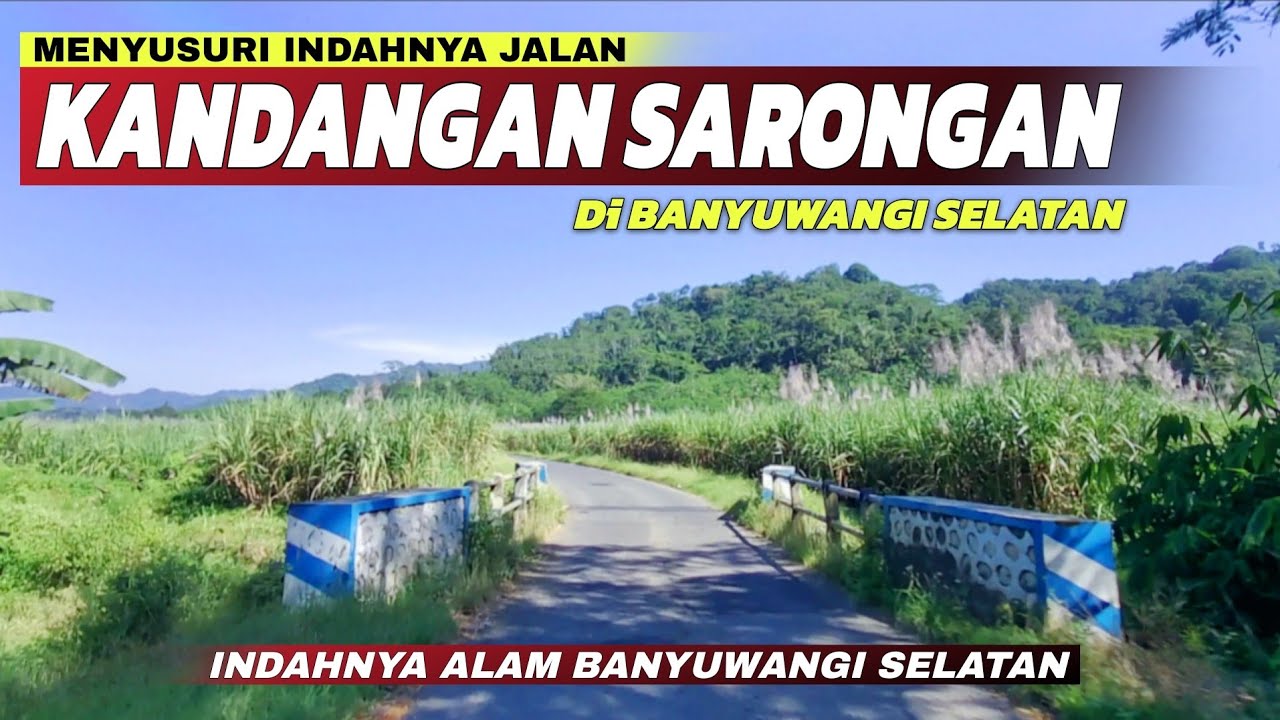Desa Paling Ujung Selatan Banyuwangi? Menyusuri Indahnya Jalur Menuju Desa Kandangan Sarongan!!!