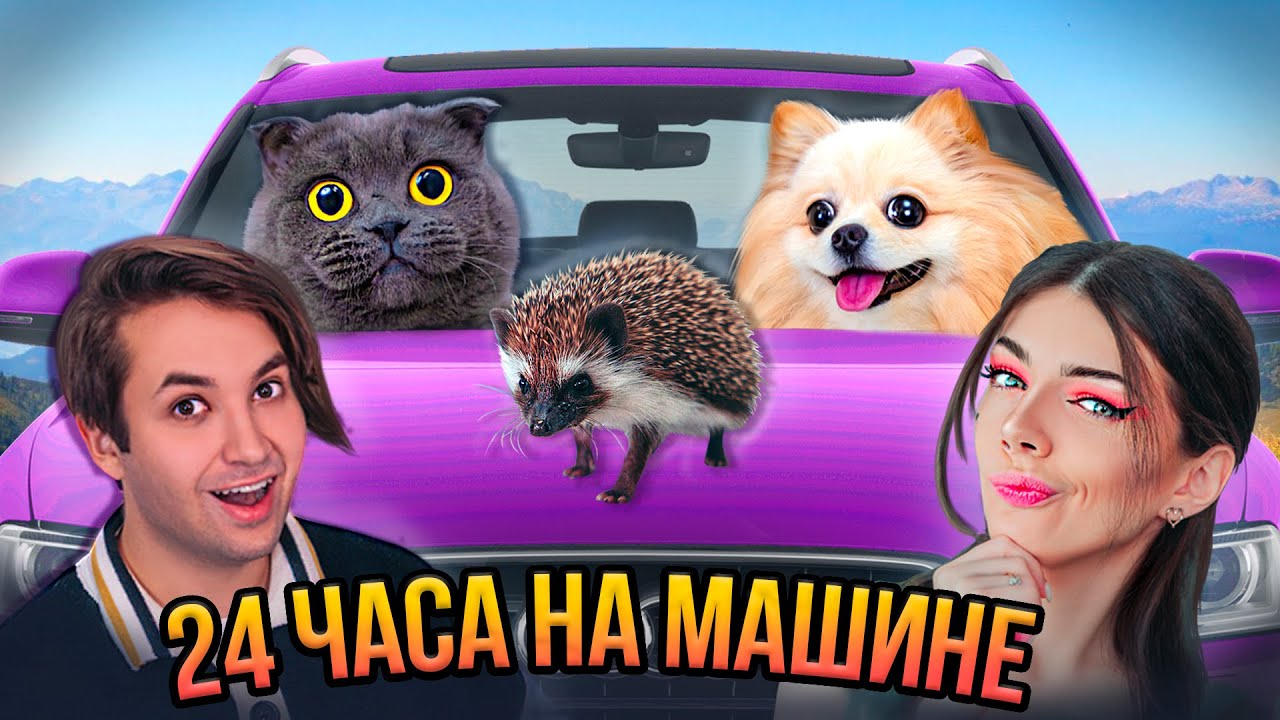 24 ЧАСА В МАШИНЕ С ЕЖИКОМ, КОТИКОМ И ПЕСИКОМ | ПУТЕШЕСТВИЕ С КОШКОЙ И СОБАКОЙ НА МАШИНЕ и еще с Ежом
