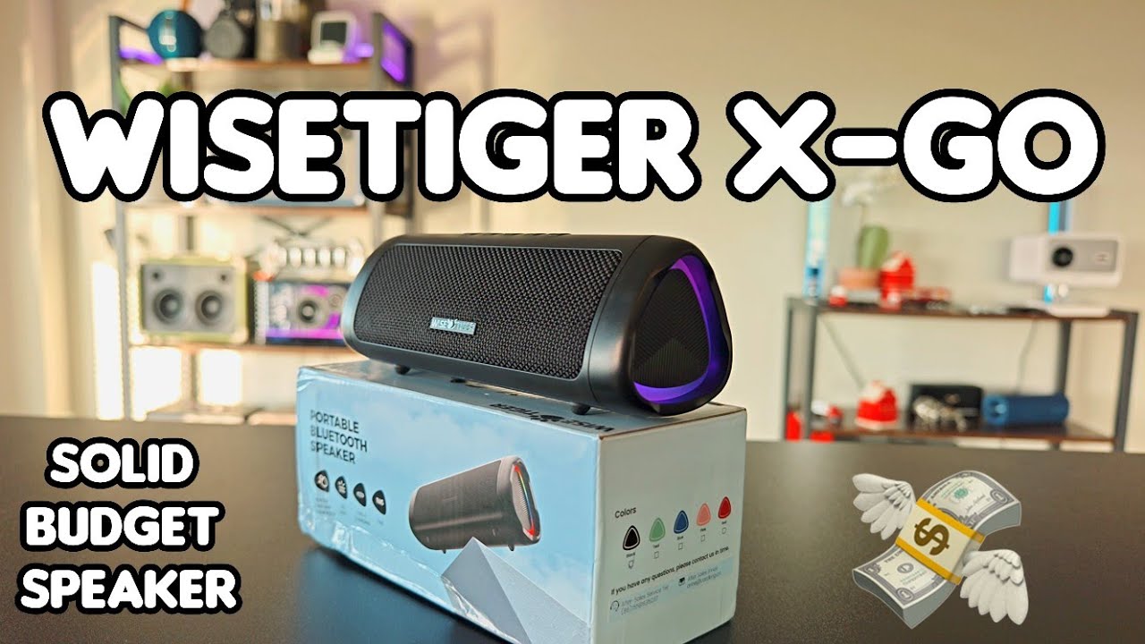 Wisetiger X-GO - Soundtest 