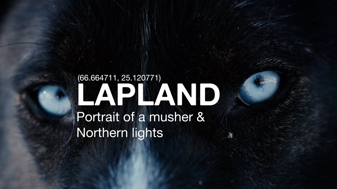 LAPONIE - Portrait d’un musher et chasse aux aurores boréales (short documentary)