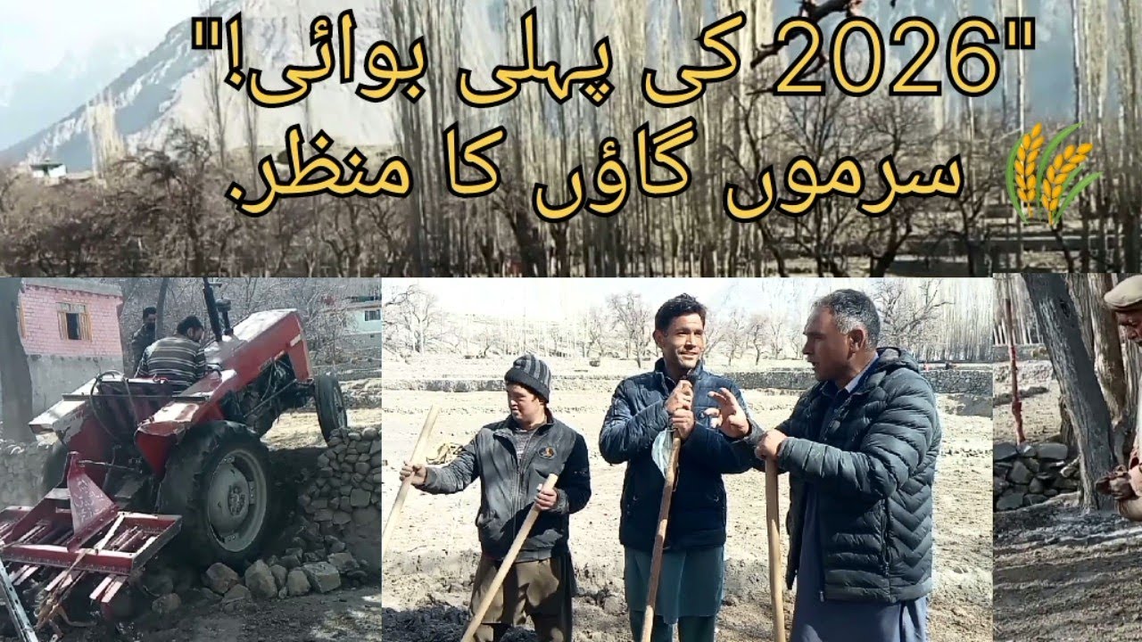 سرموں گاؤں میں سال 2026 کی کاشتکاری کا آغاز | گندم اور جو کی بوائی کی خوبصورت روایت