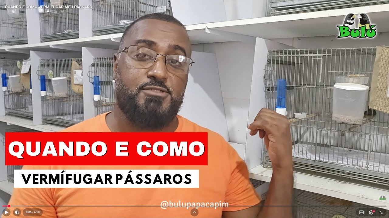 QUANDO E COMO VERMÍFUGAR MEU PÁSSARO