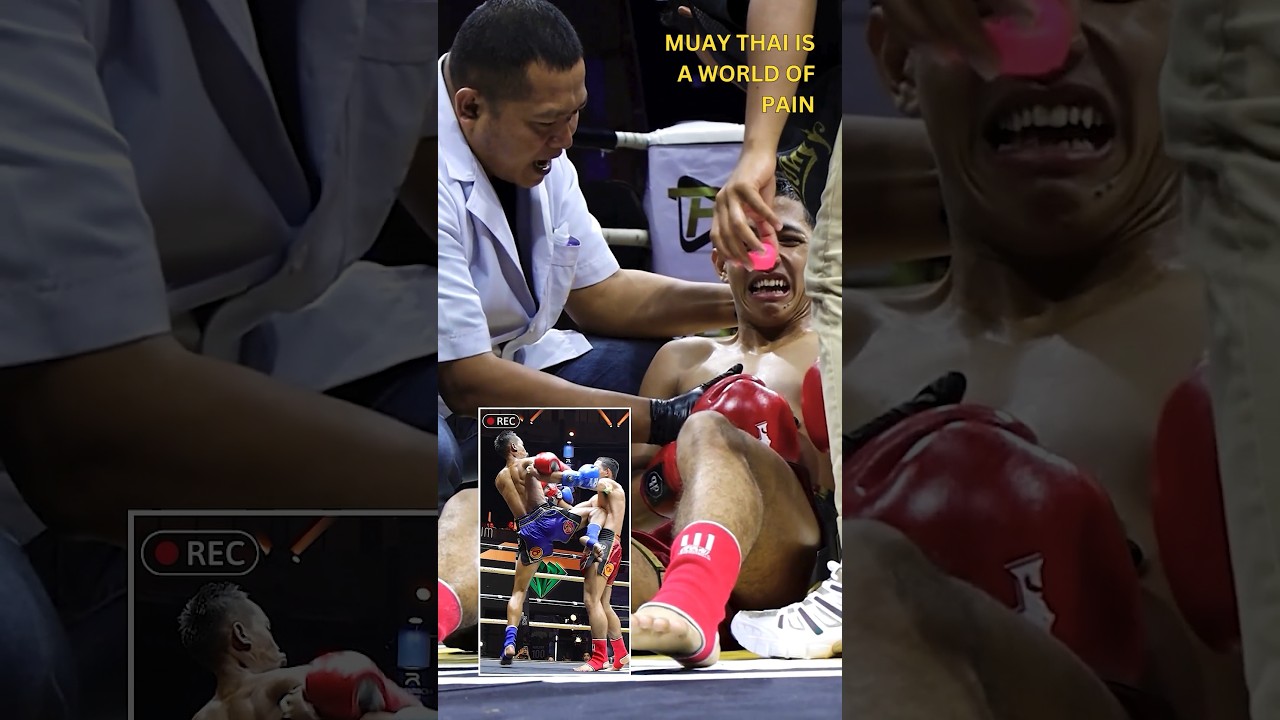 Muay Thai Is A World Of Pain ✨