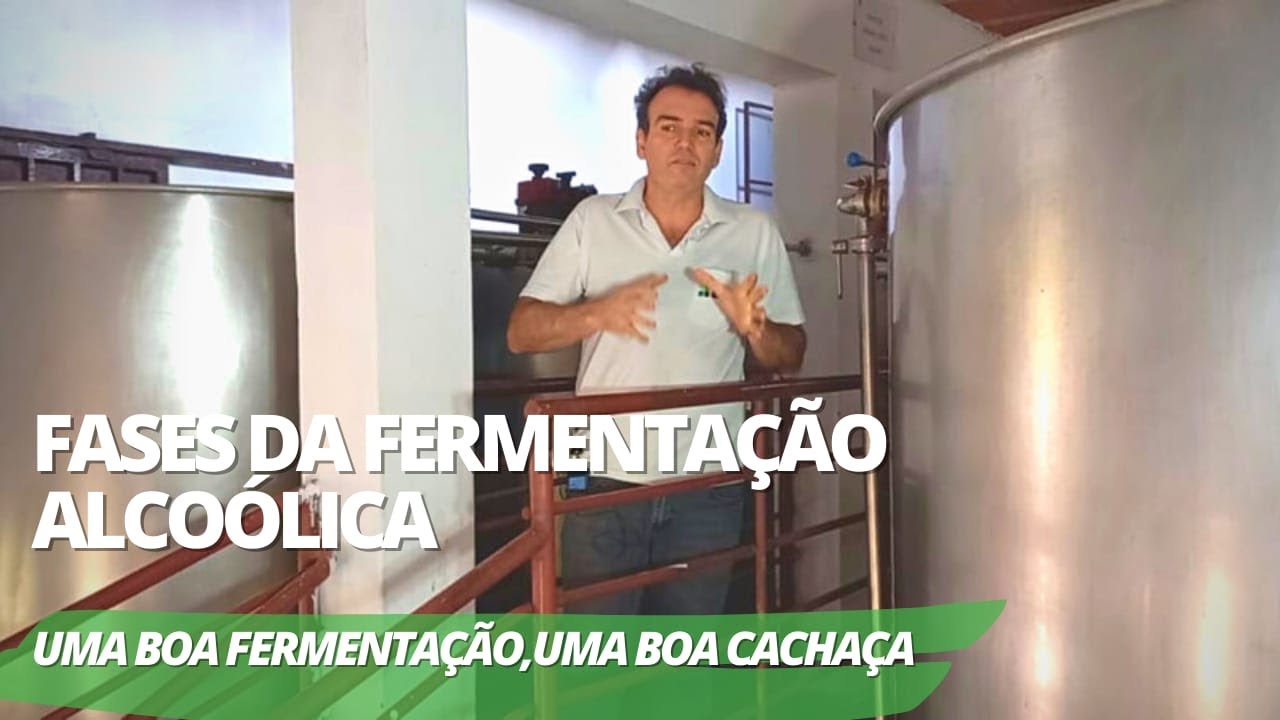 Fases da fermentação alcoólica. Sem uma boa fermentação não tem como ter uma boa cachaça artesanal.