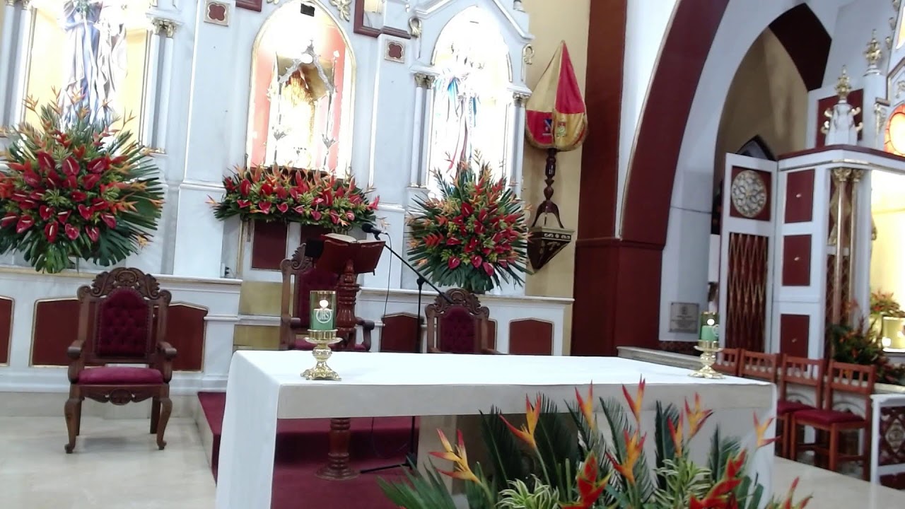 Bodas de Oro Parroquiales | 8:00 am Santa Misa / por los  devotos y Peregrinos de San Judas Tadeo.