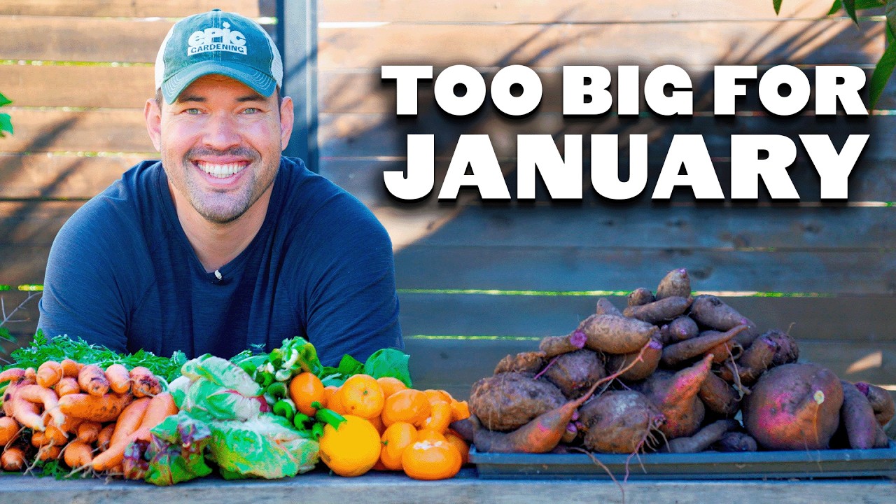 This Harvest Is TOO BIG for January...