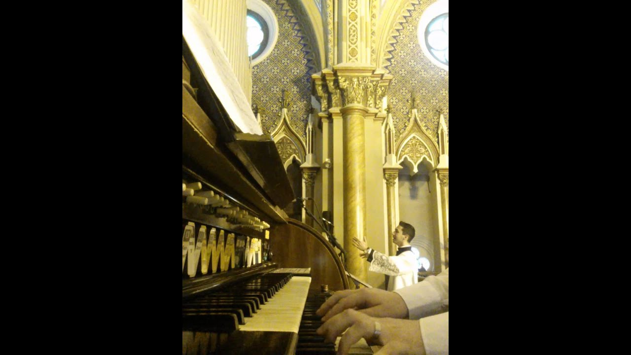 Ó Noite Santa - Catedral de Curitiba