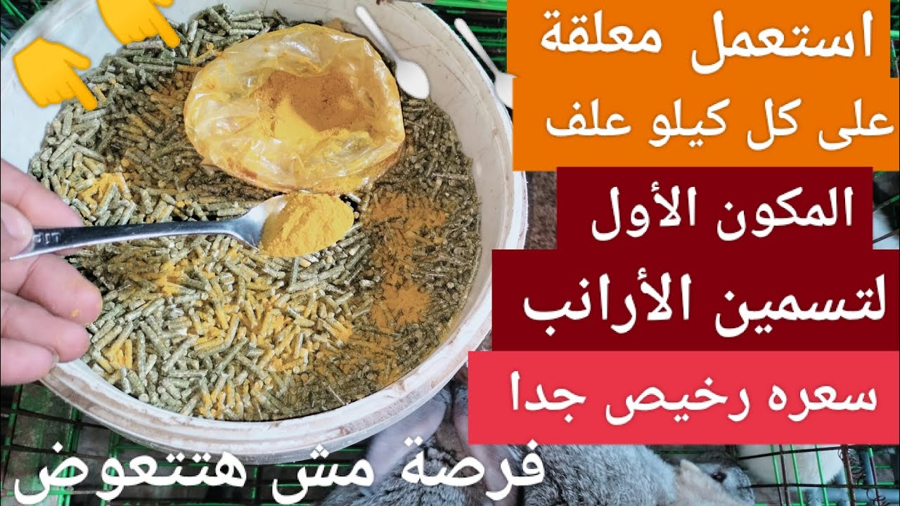 استعمل معلقه واحدة على كل كيلو علف أعلى وأسرع تسمين للارانب على الإطلاق لازم تجربه فوراً 👍👍