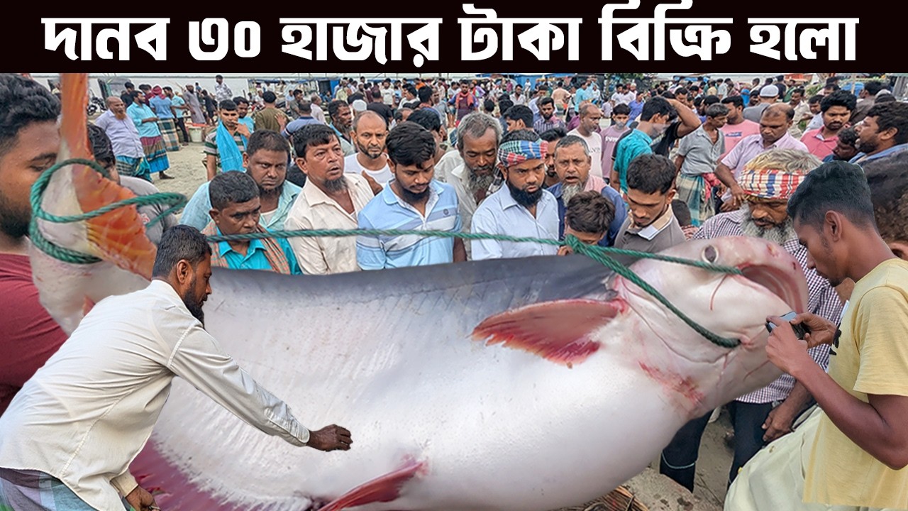 এক মাছেই পুরা ঘাট গরম করে ফেললো! এমন মাছ নাকি বছরে দু-একটা আসে | wholesale fishmarket in dohar