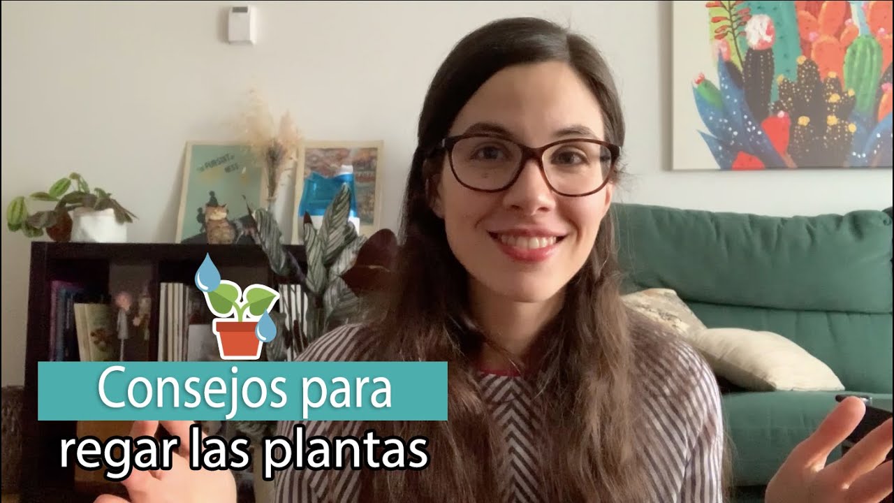Consejos para Regar Plantas de interior | 6 Tips B&aacute;sicos de Riego