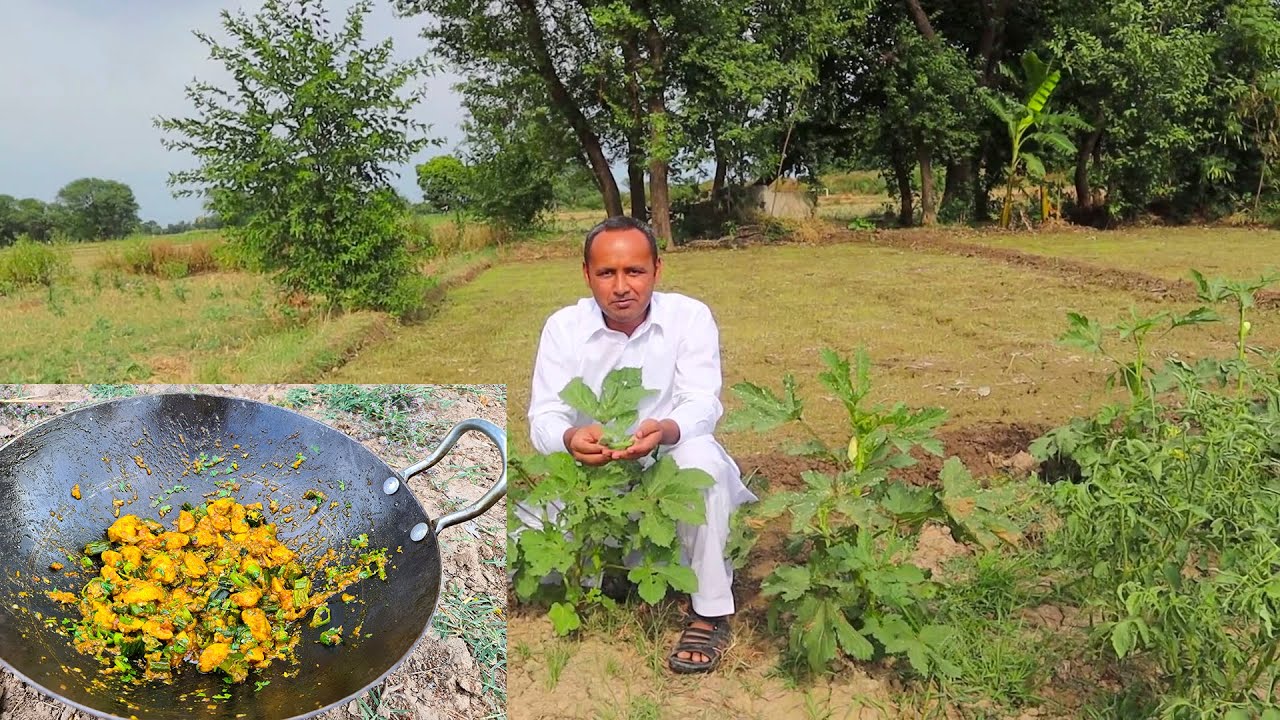 Bhindi Chicken Masala Recipe | Okra Chicken Recipe by Mubashir Saddique | Village Food Secrets