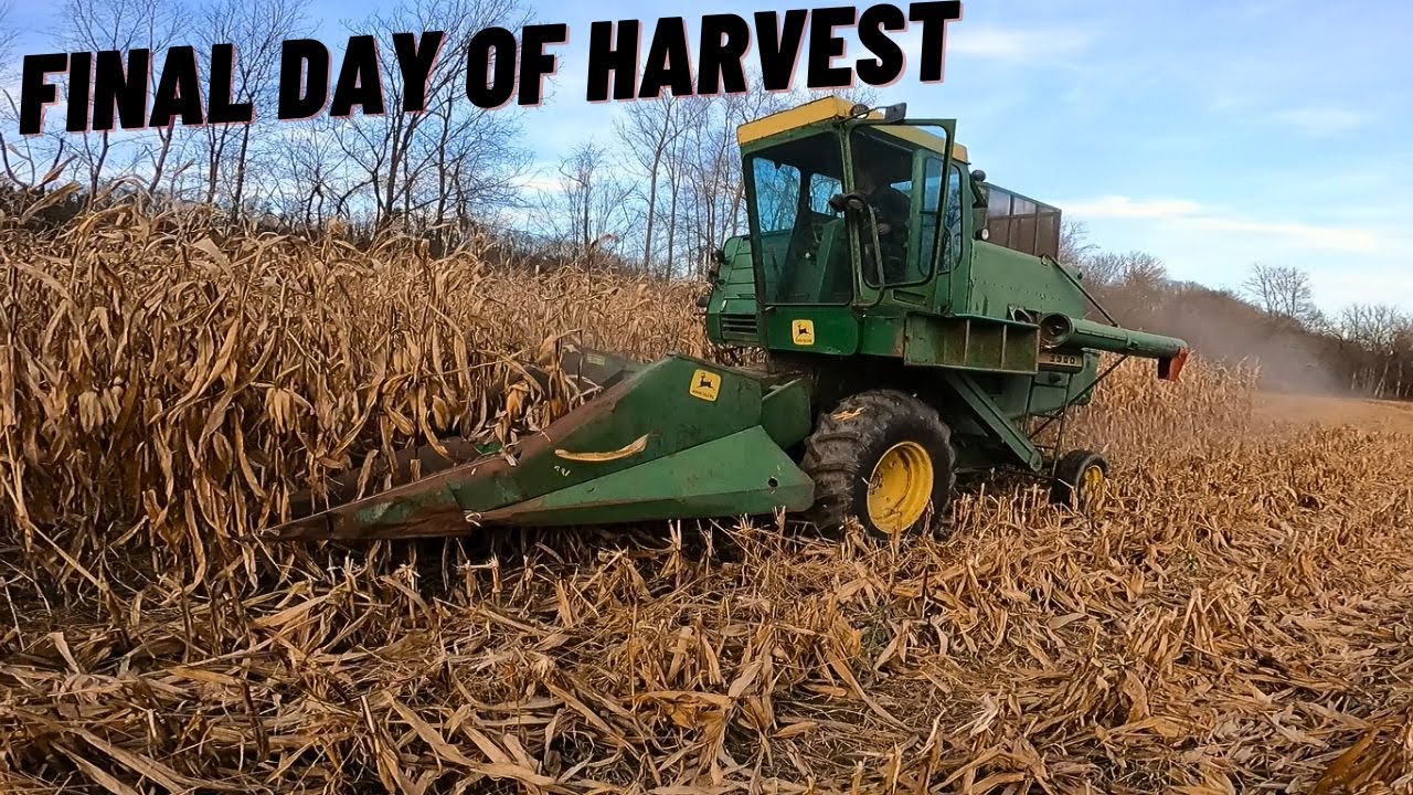 Final Day of Corn Harvest! | John Deere 3300