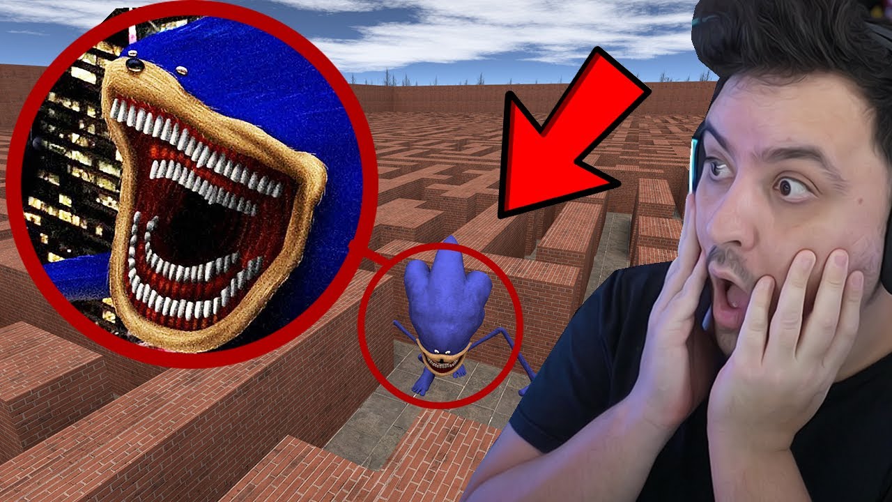 SE VOCÊ VER O *SONIC TAPES* EM UM LABIRINTO, FUJA RÁPIDO !! - NightExtreme