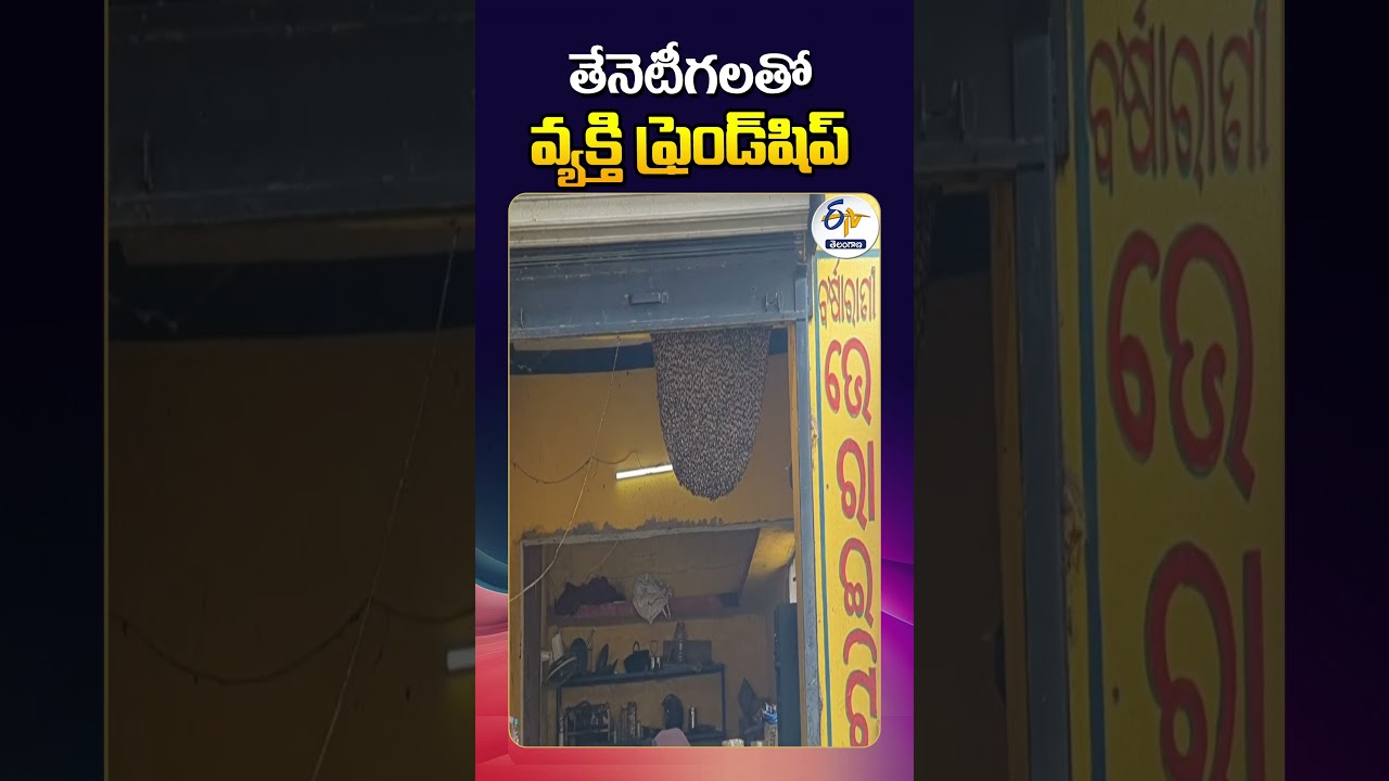 Odisha Man Friendship with Bees