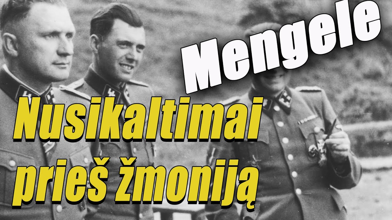 NPŽ - Baltasis angelas - Nuotolinė istorijos pamoka