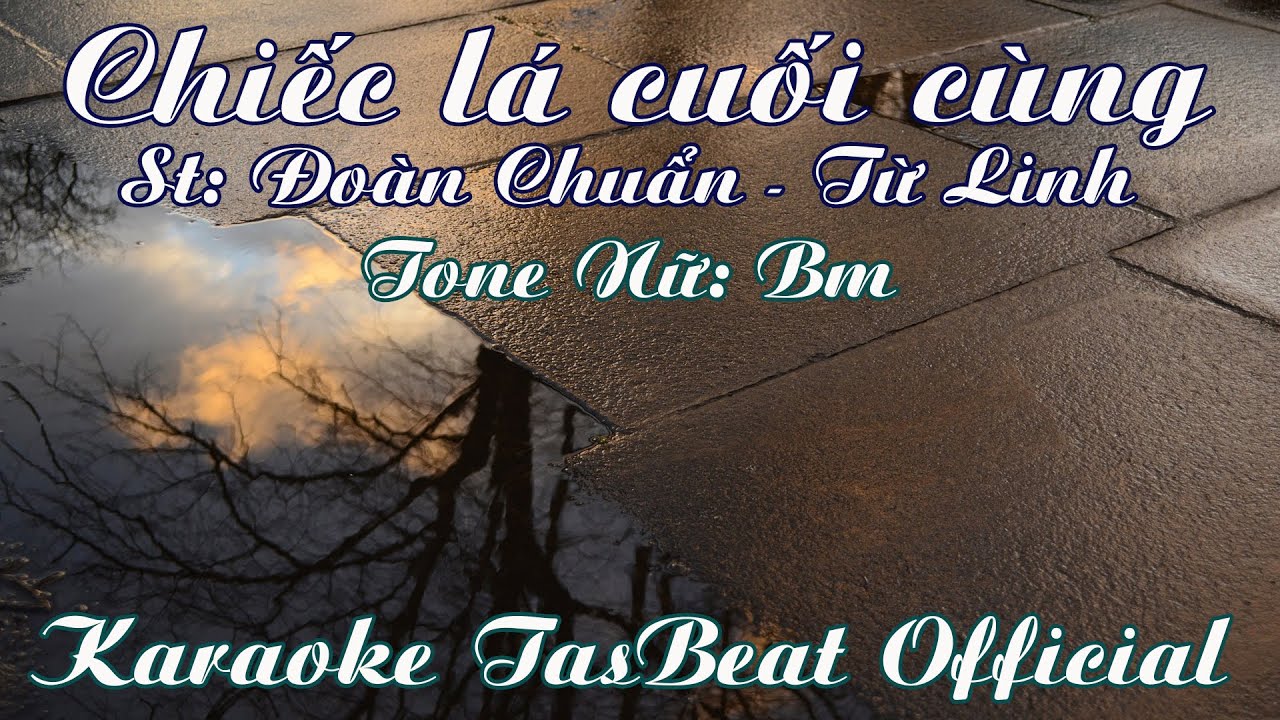 Karaoke Chiếc Lá Cuối Cùng (Đoàn Chuẩn Từ Linh) - Tone Nữ | TAS BEAT
