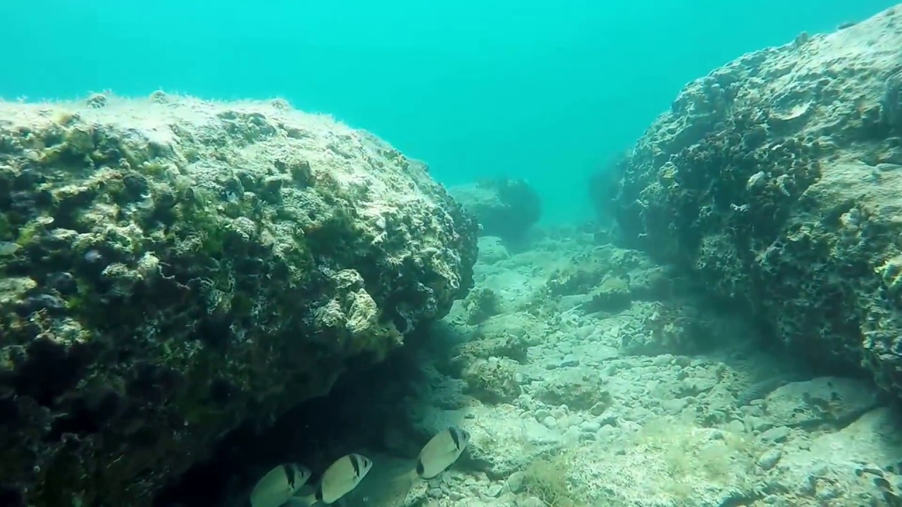 den 23.6. - Potápění na Římské cestě Pakoštane Chorvatsko (Diving on the Roman Route Croatia)