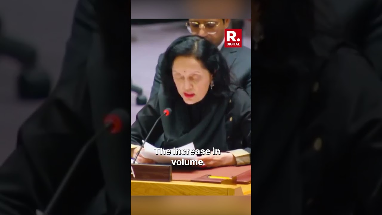 India's UN Representative: Cross-Border Terrorism Thrives with State Sponsorship
