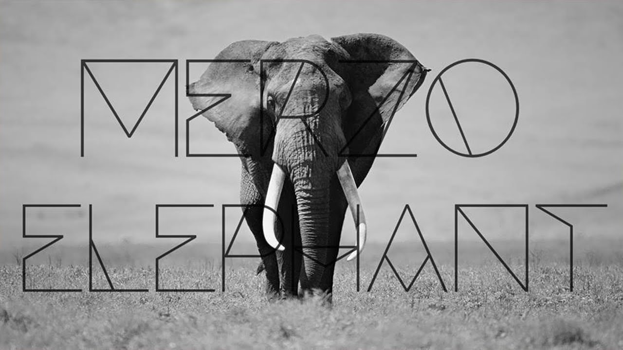 Merzo - Elephant