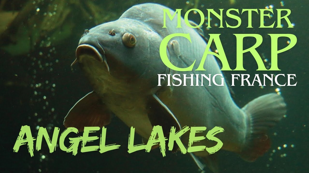 Angel Lakes - Monster Carp Fishing France