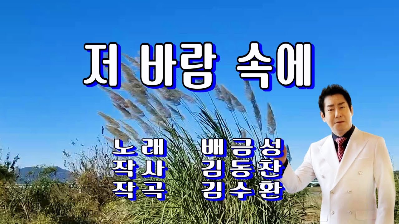 저 바람 속에 / 배금성(가사 첨부)