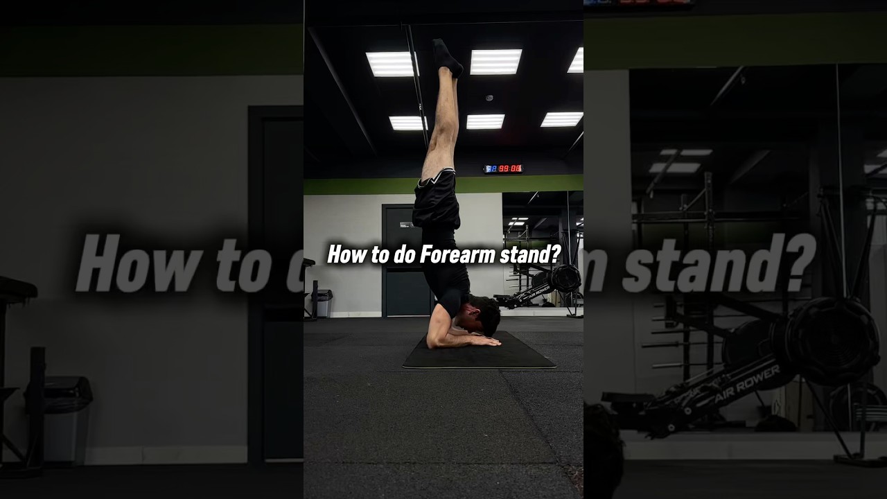 How to do Forearm stand? #calisthenics #fitness #workout #bodyweighttraining #homeworkout