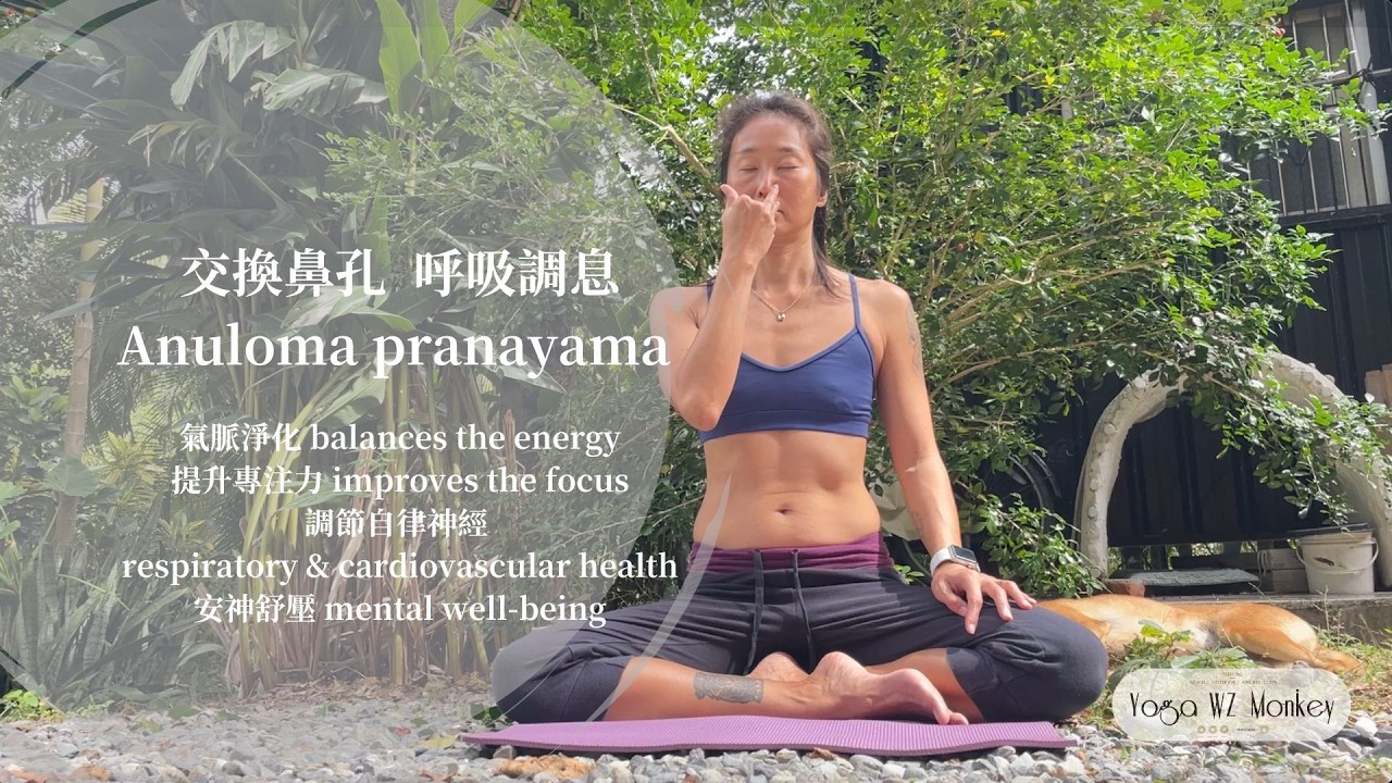 靜心 呼吸調息【交換鼻孔呼吸調息 Anuloma pranayama】中文引導｜穩定心神、放鬆身心 YogaWZMOKEY